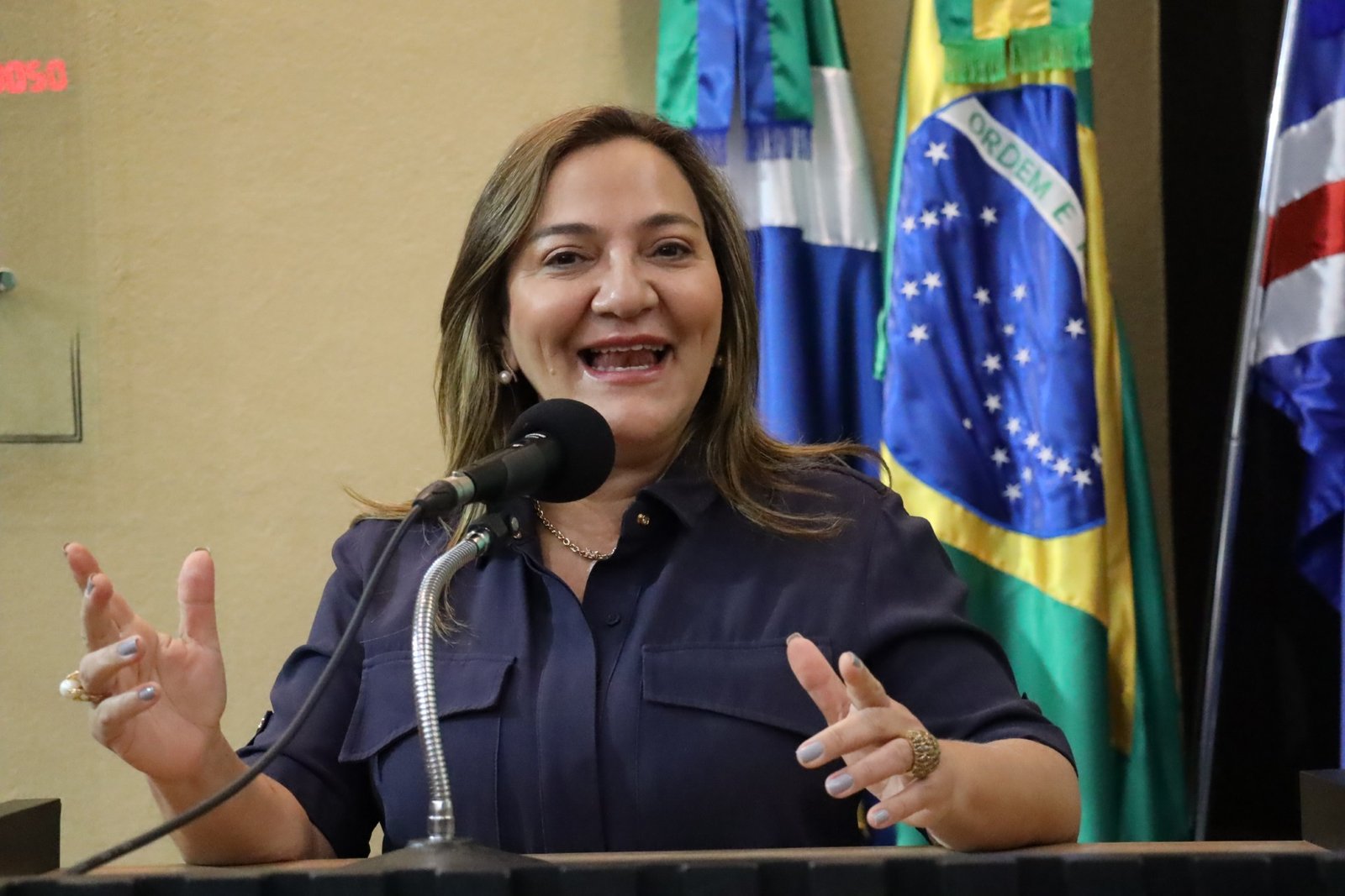 Anny Espínola pede asfalto na Chácara Vista Alegre e melhorias no bairro Boa Vista