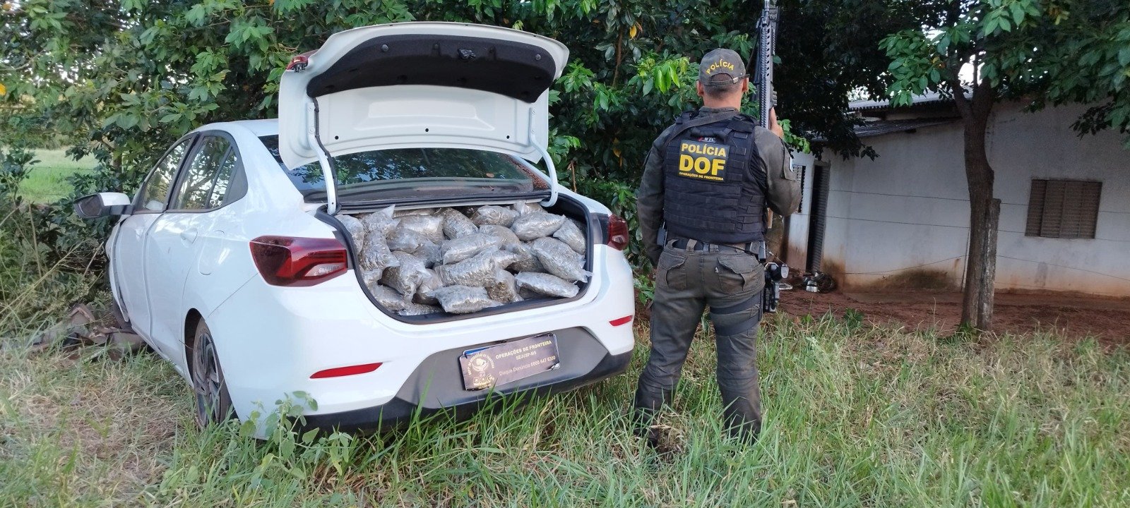 Veículo carregado com quase 300 quilos de drogas é apreendido pelo DOF