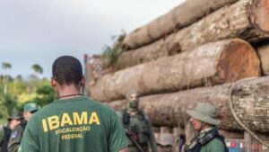 Por pressão da justiça, Ibama e ICMbio…