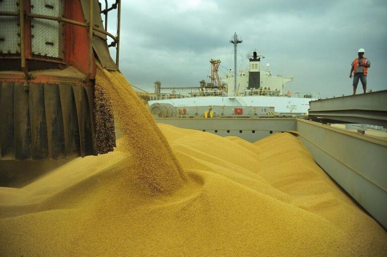 Anec prevê exportação de 2,240 milhões de…