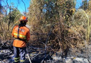 Pantanal registra umidade em 10% e registra…
