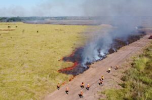 Governo altera decreto de emergência ambiental no…
