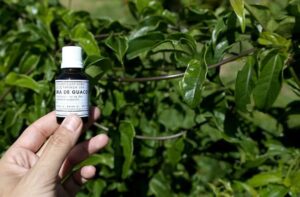 Meeting Nacional assina termo para criação do&hellip;