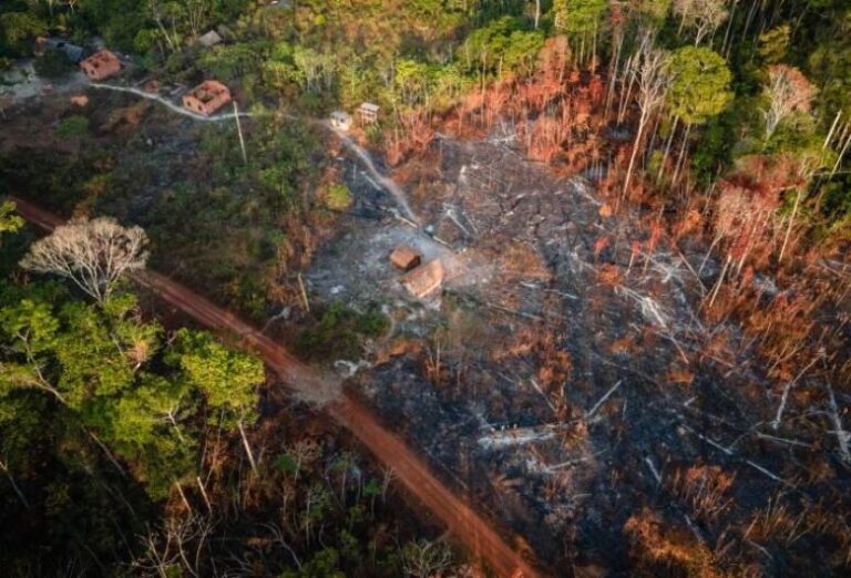 Comissão de Meio Ambiente discute combate a…