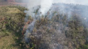 Incêndio no Parque Nacional do Cerro Corá,&hellip;